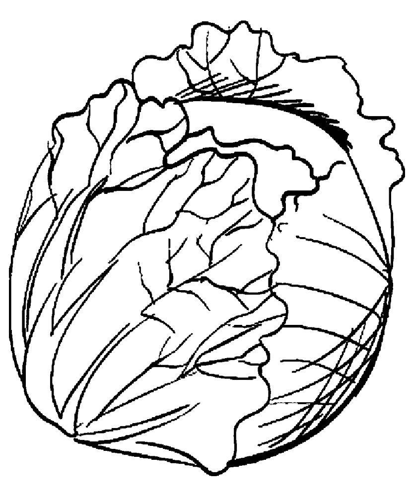 Капуста раскраска для детей
