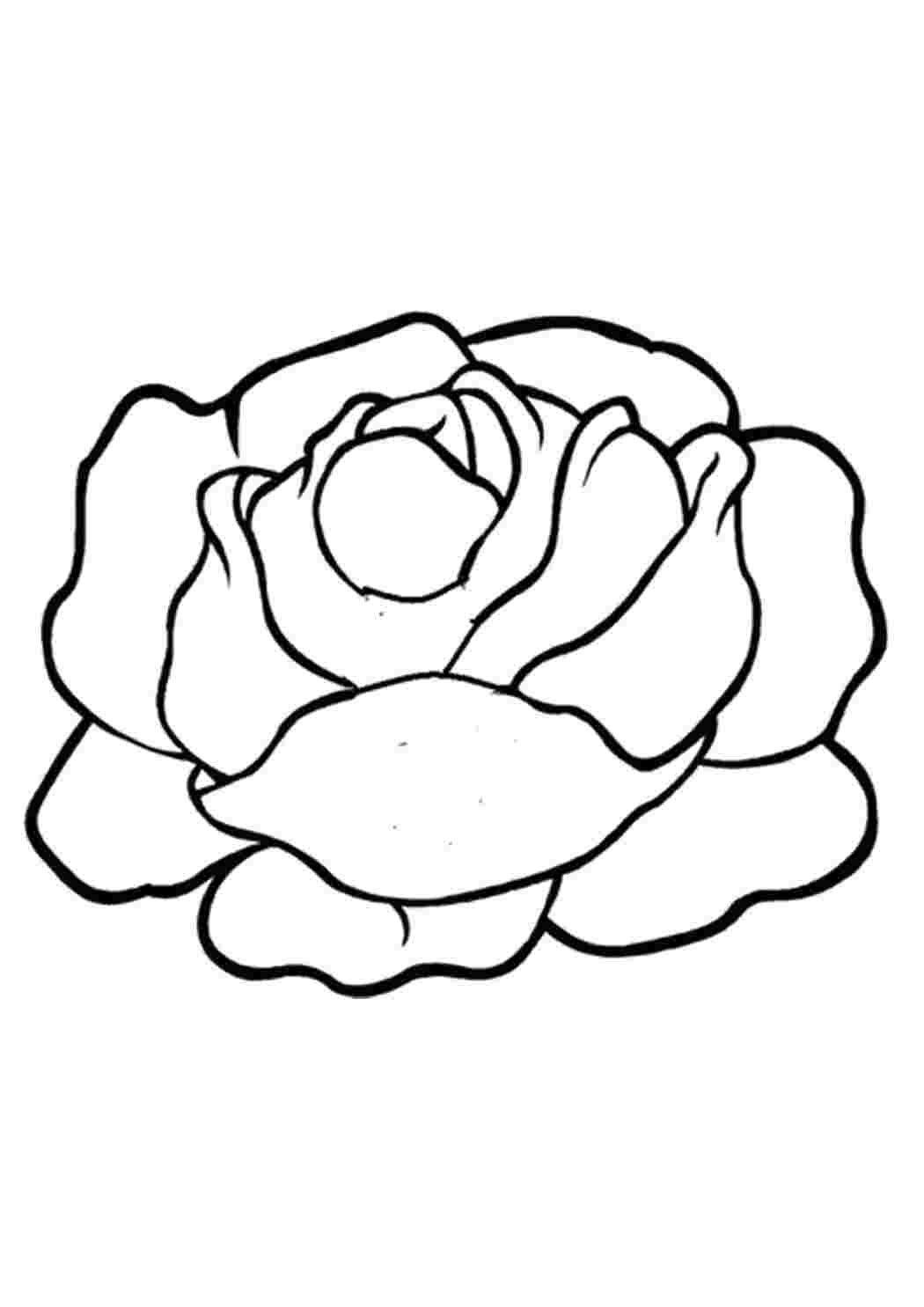 Салат Айсберг веселый