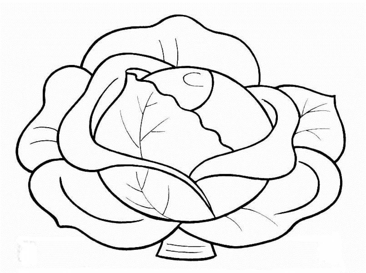 Капуста раскраска