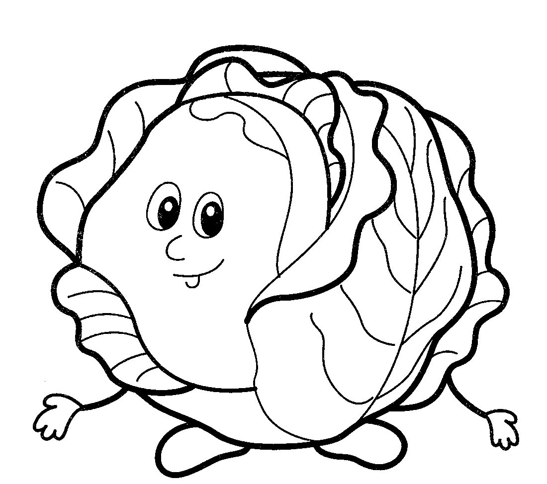 Кочан капусты раскраска