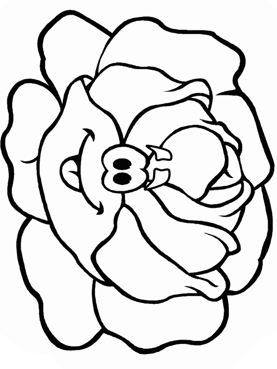 Капуста рисунок для детей