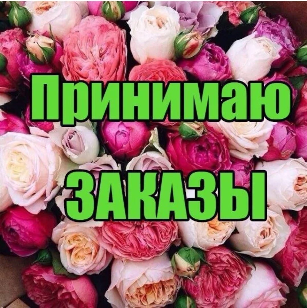 Принимаю заказы на одежду