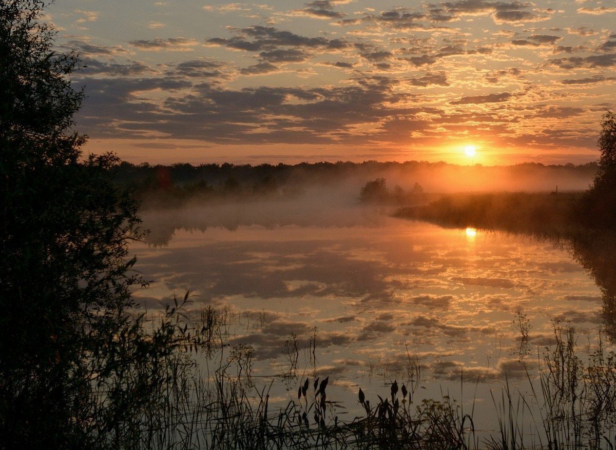 Утренняя Зорька
