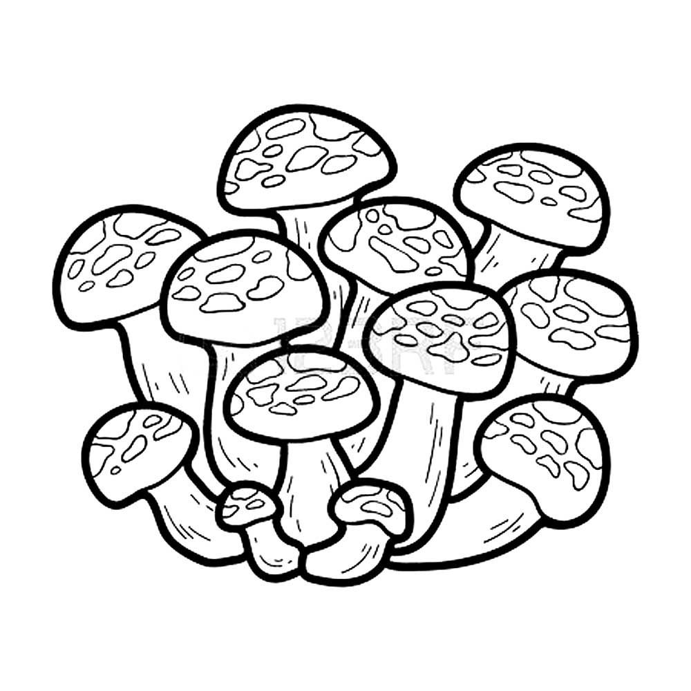 Raskraski grib опята