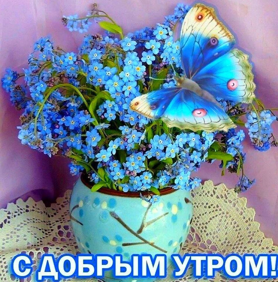 Летние цветы с бабочками