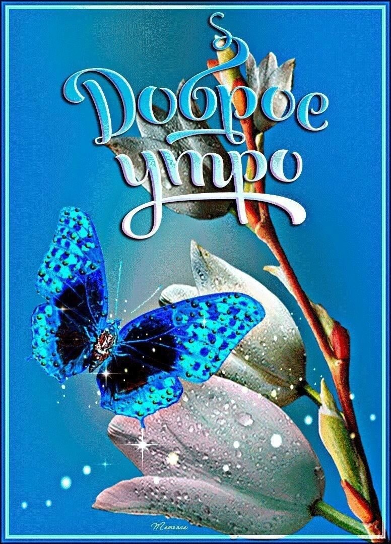 Бабочковое настроение