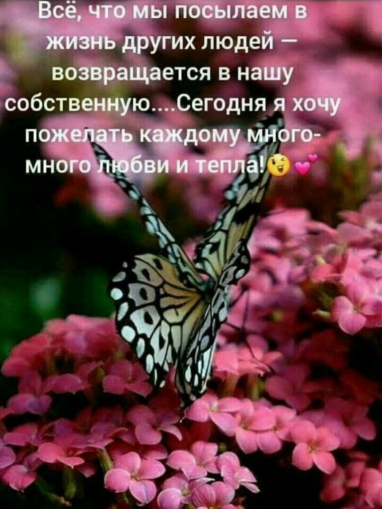 Радужного настроения на весь день