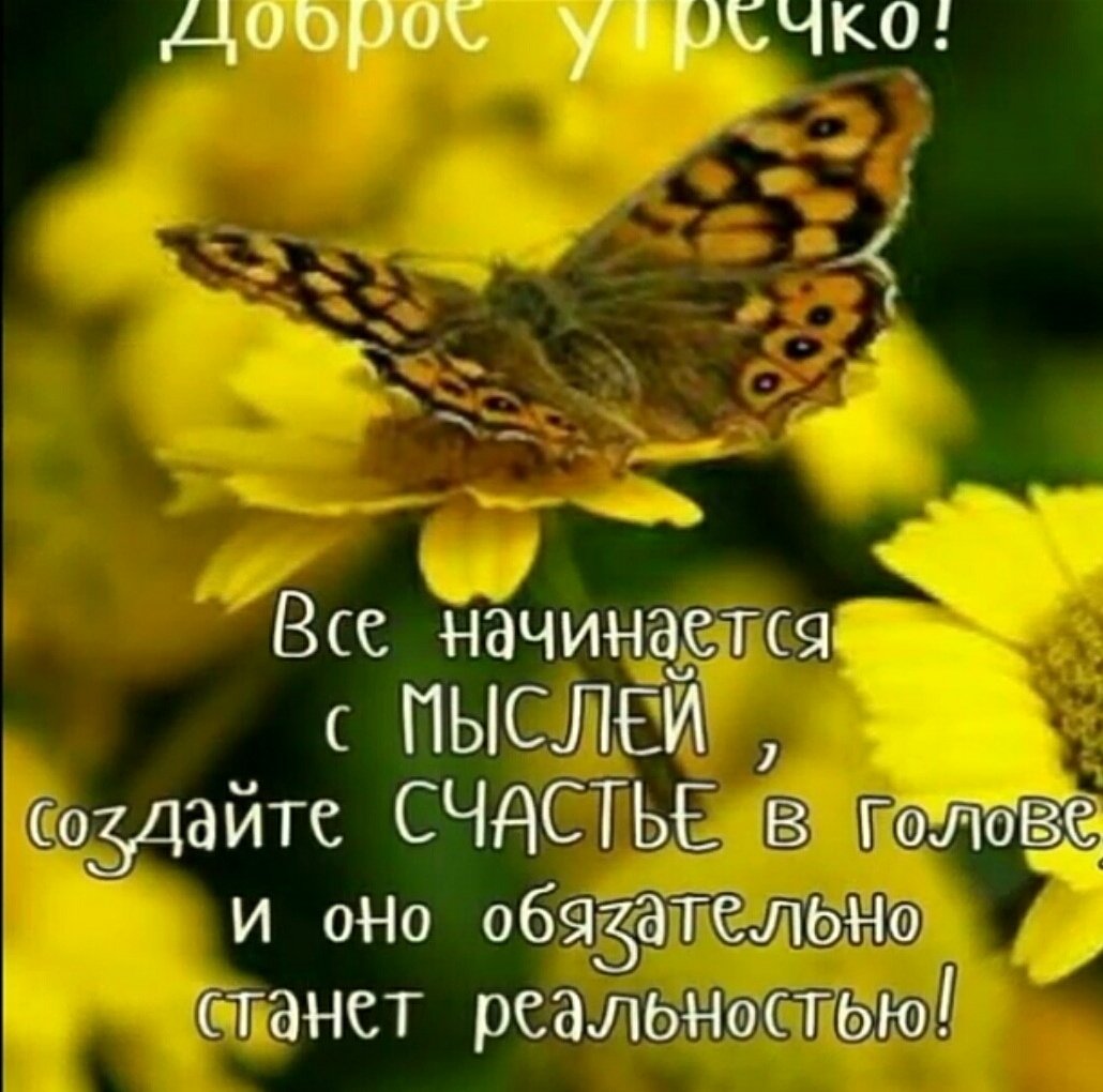 Анимационные открытки с бабочками