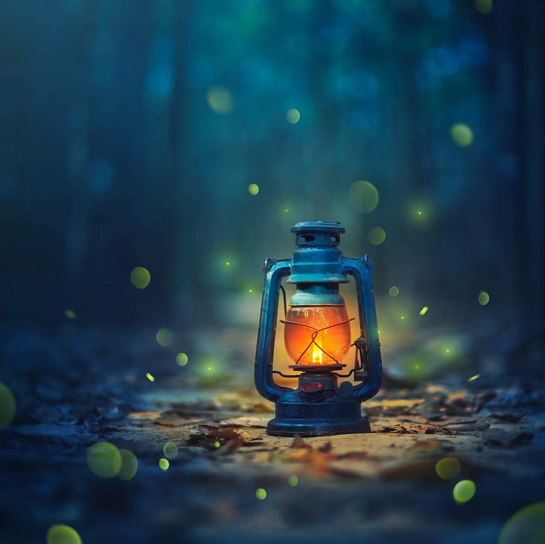 Спокойной ночи светлячки