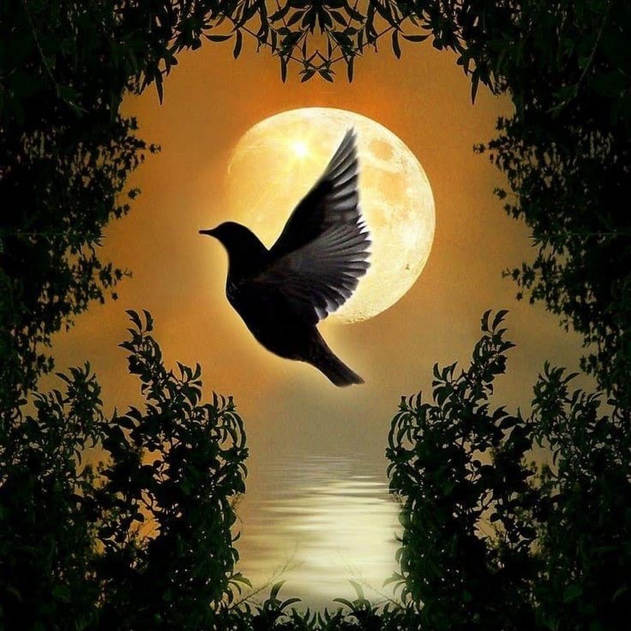 Отличного вечера и отдыха