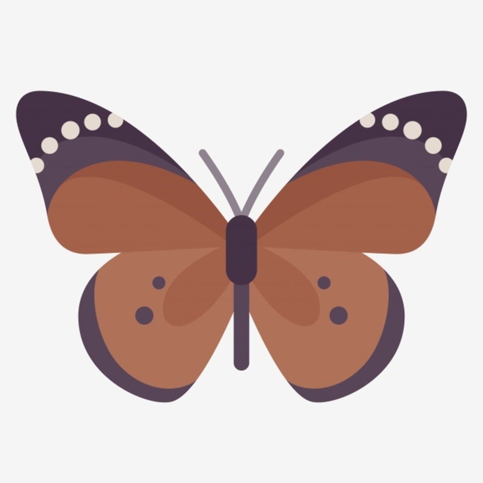 Бабочки милые мультяшные