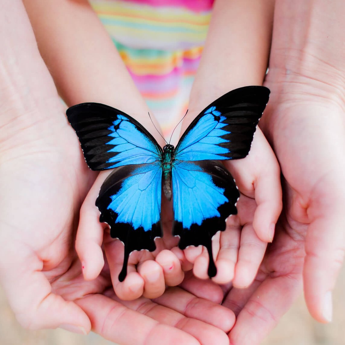 Бабочка смайлик айфон