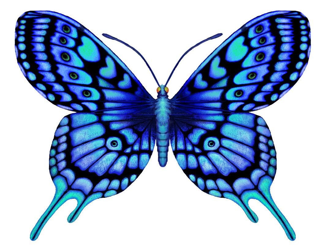 Мультяшные насекомые