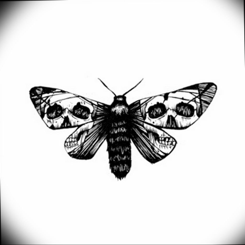 Бабочки мультяшные