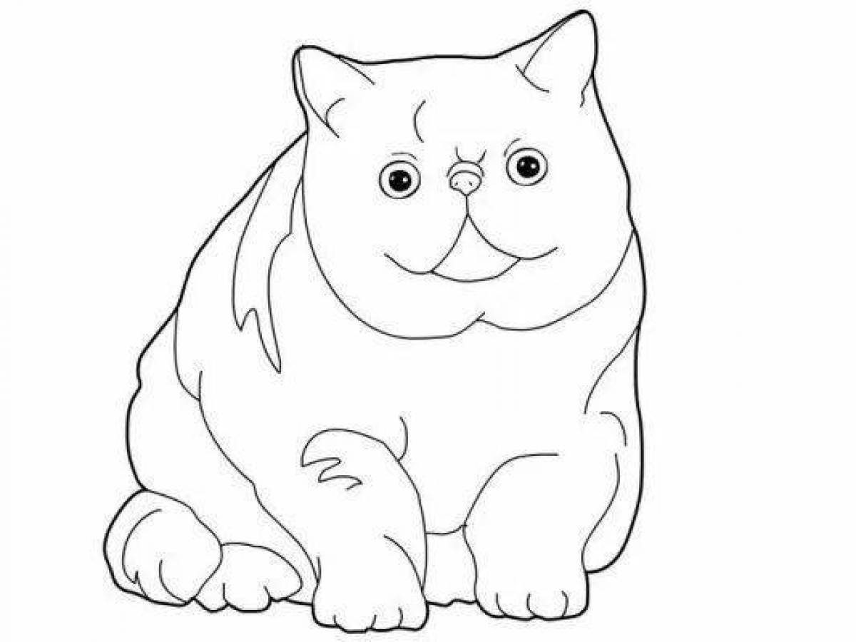 Раскраска кошечка