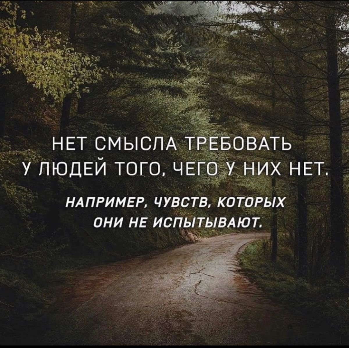 Стихи из Библии