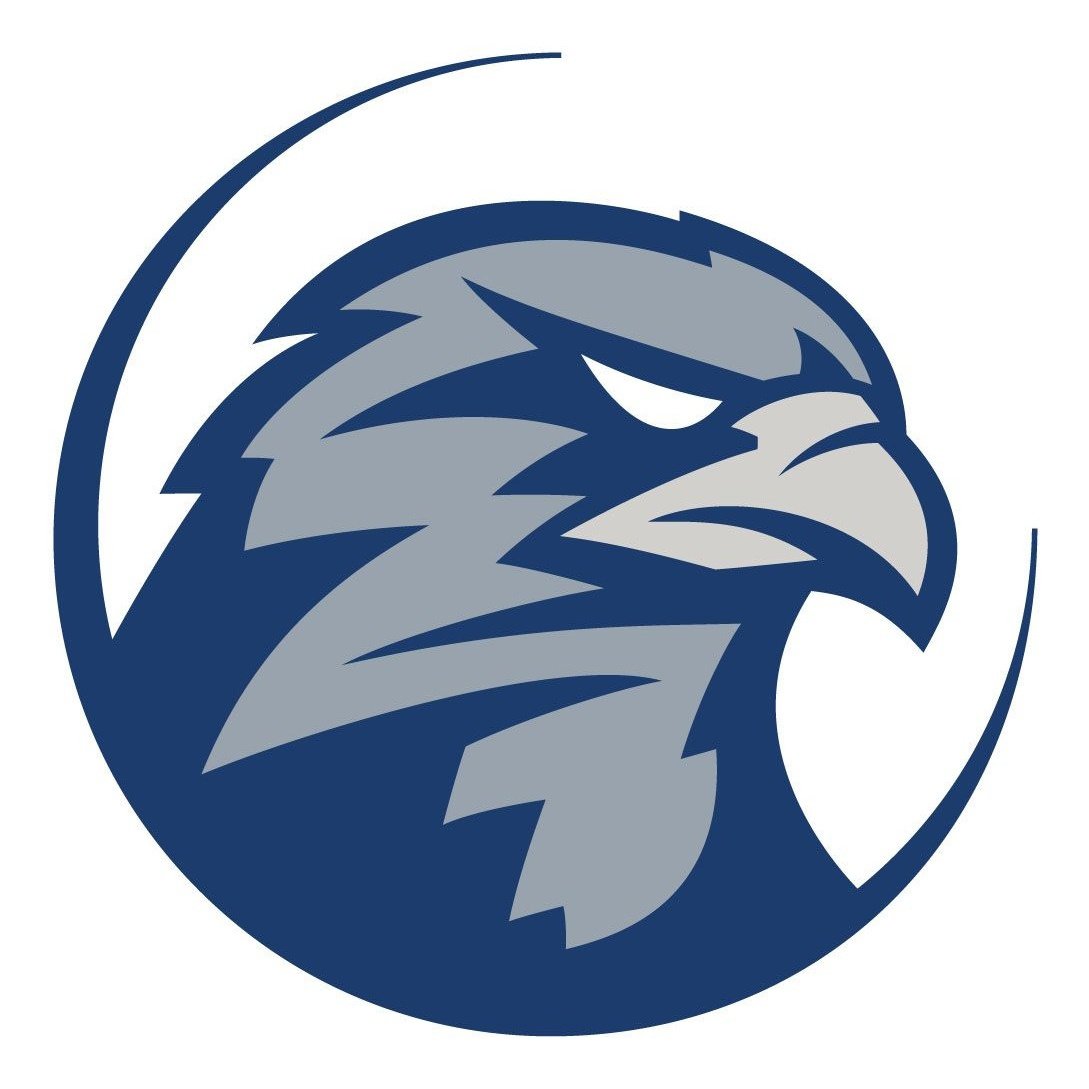 Логотип команды Сокол