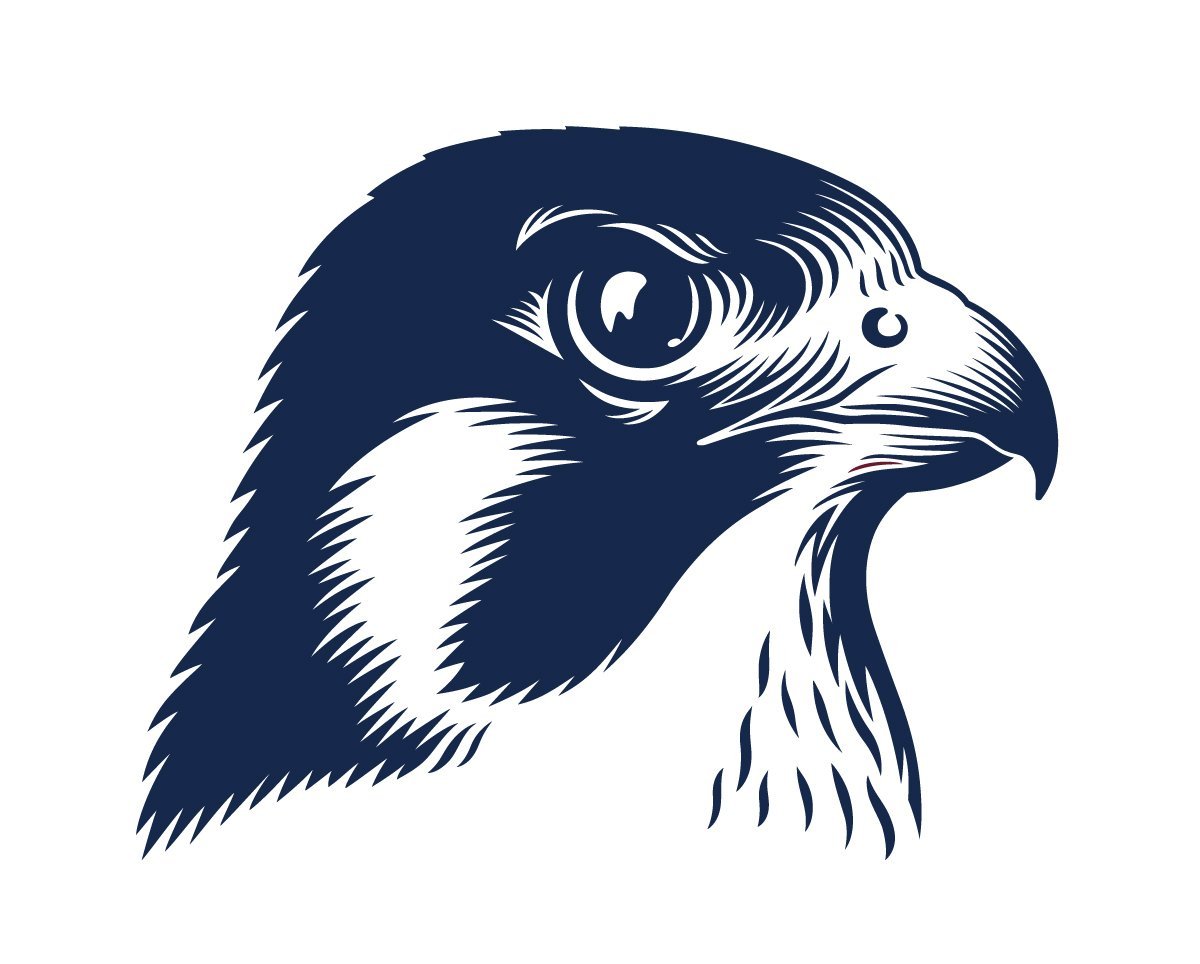 Логотип с изображением Сокола