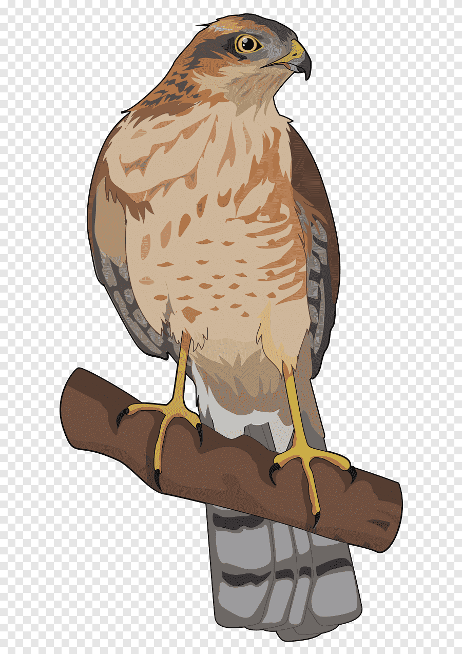 Смайлик орла айфон