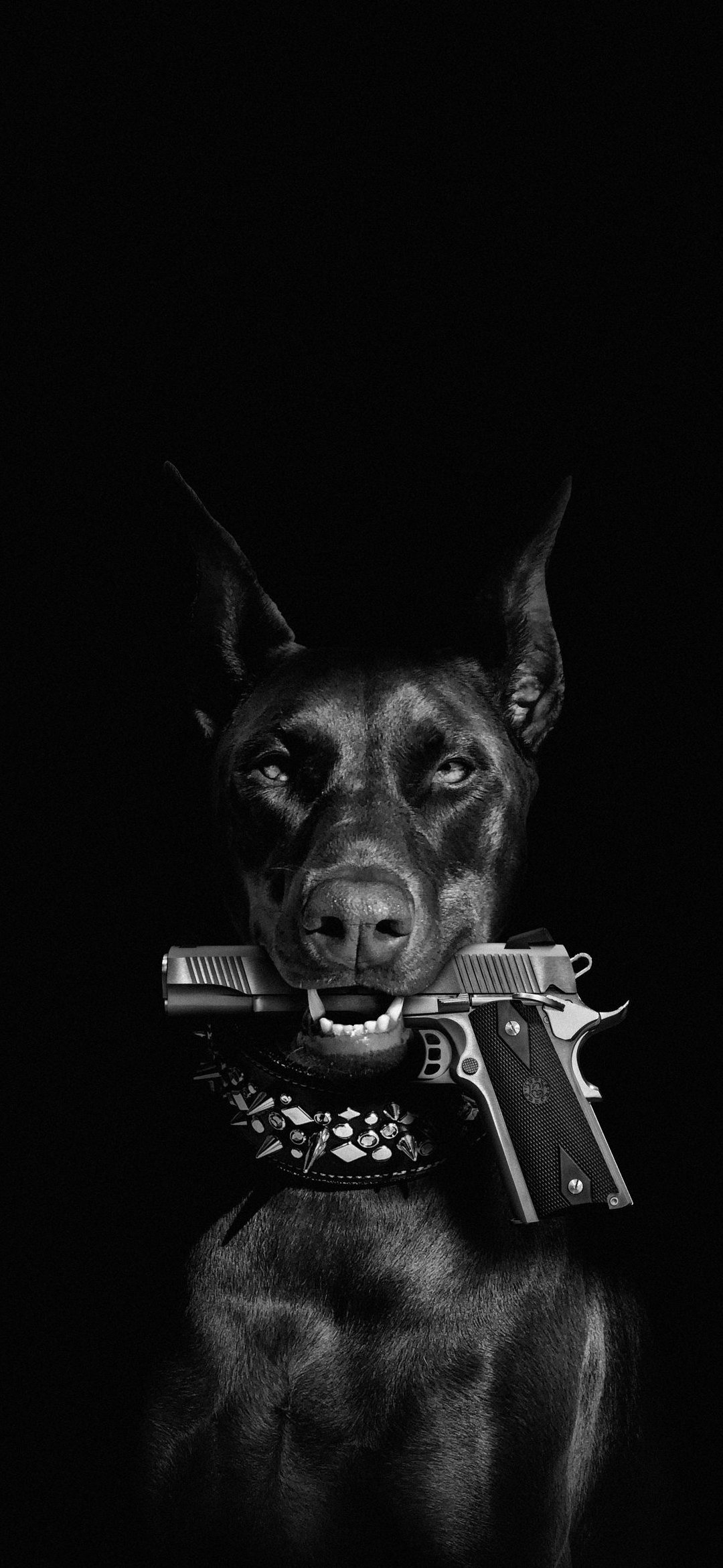 Доберман с пистолетом