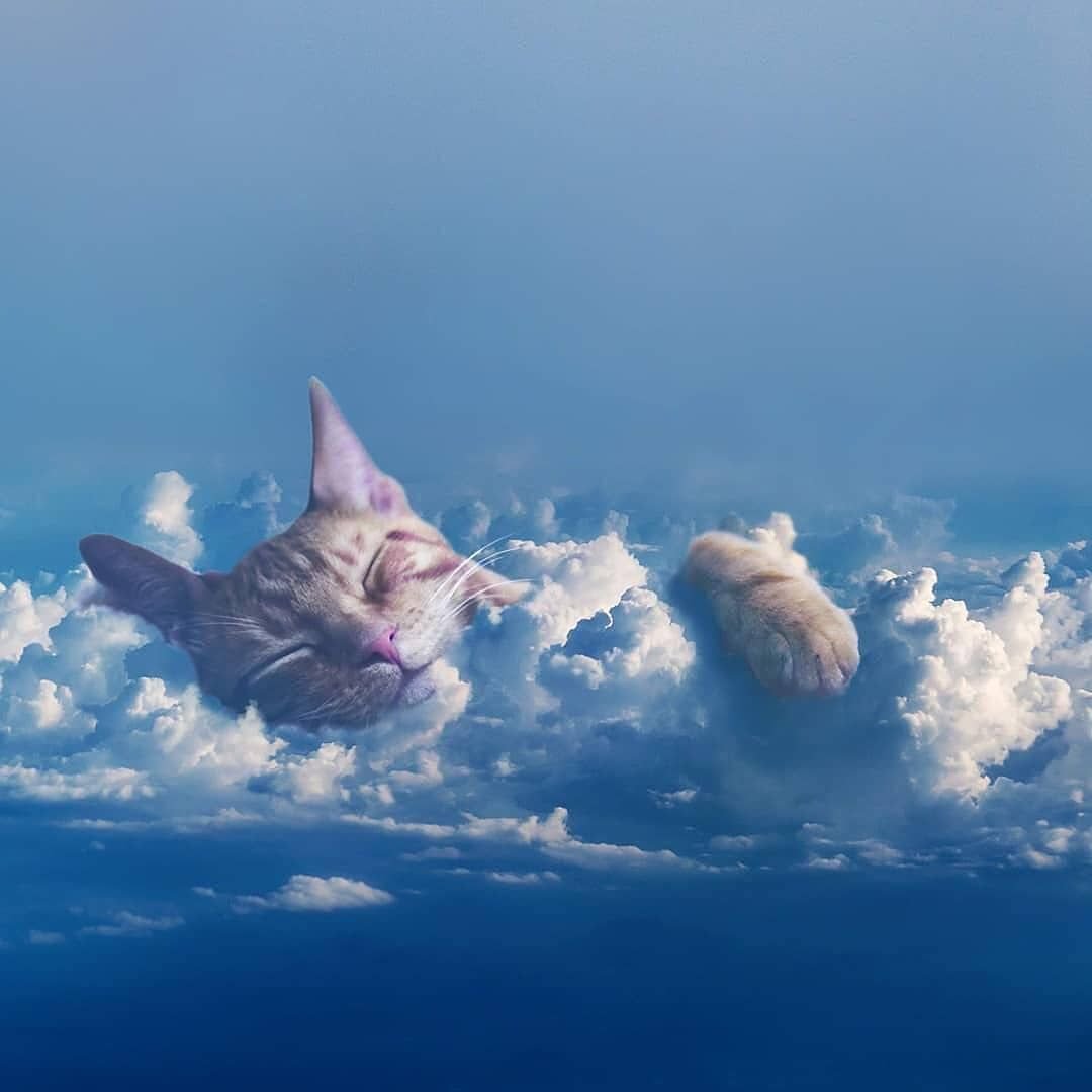 Летать в облаках