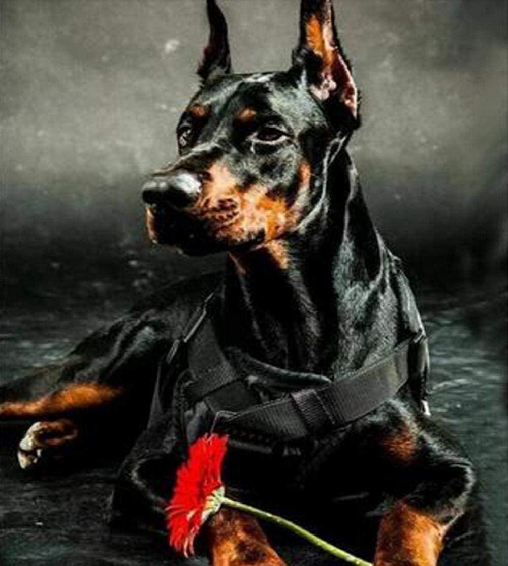 Доберман рэпер