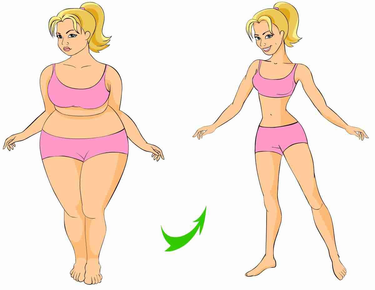 Толстая и стройная