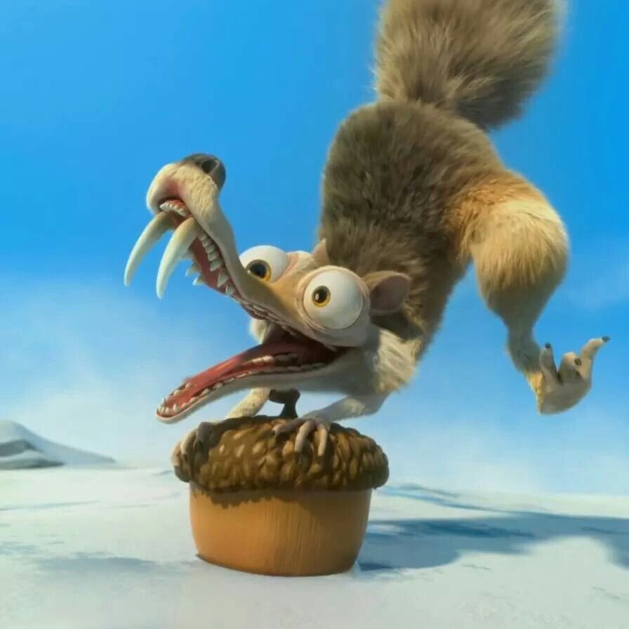 Лесная братва белка