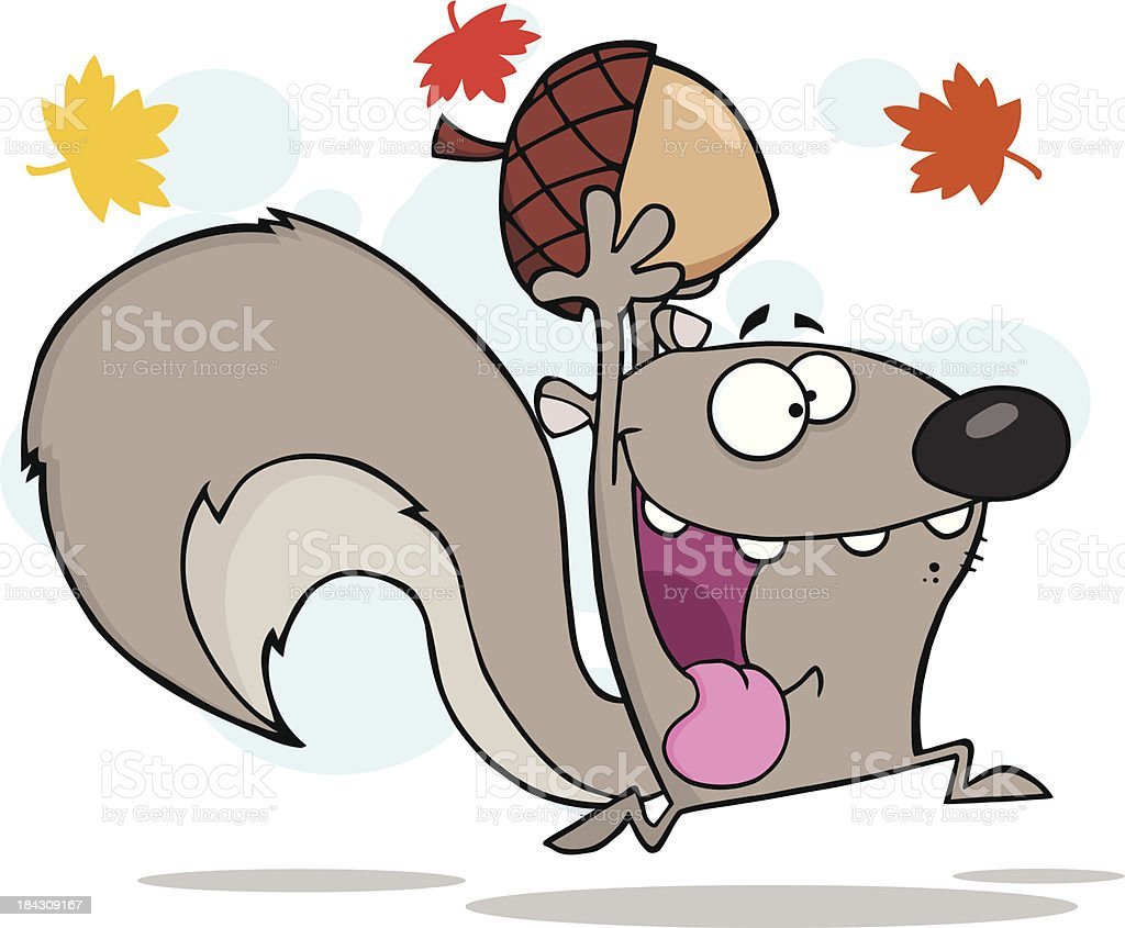 Сумасшедшая белка вектор