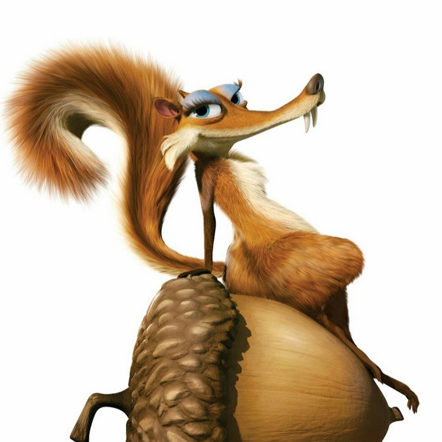 Футболка белка