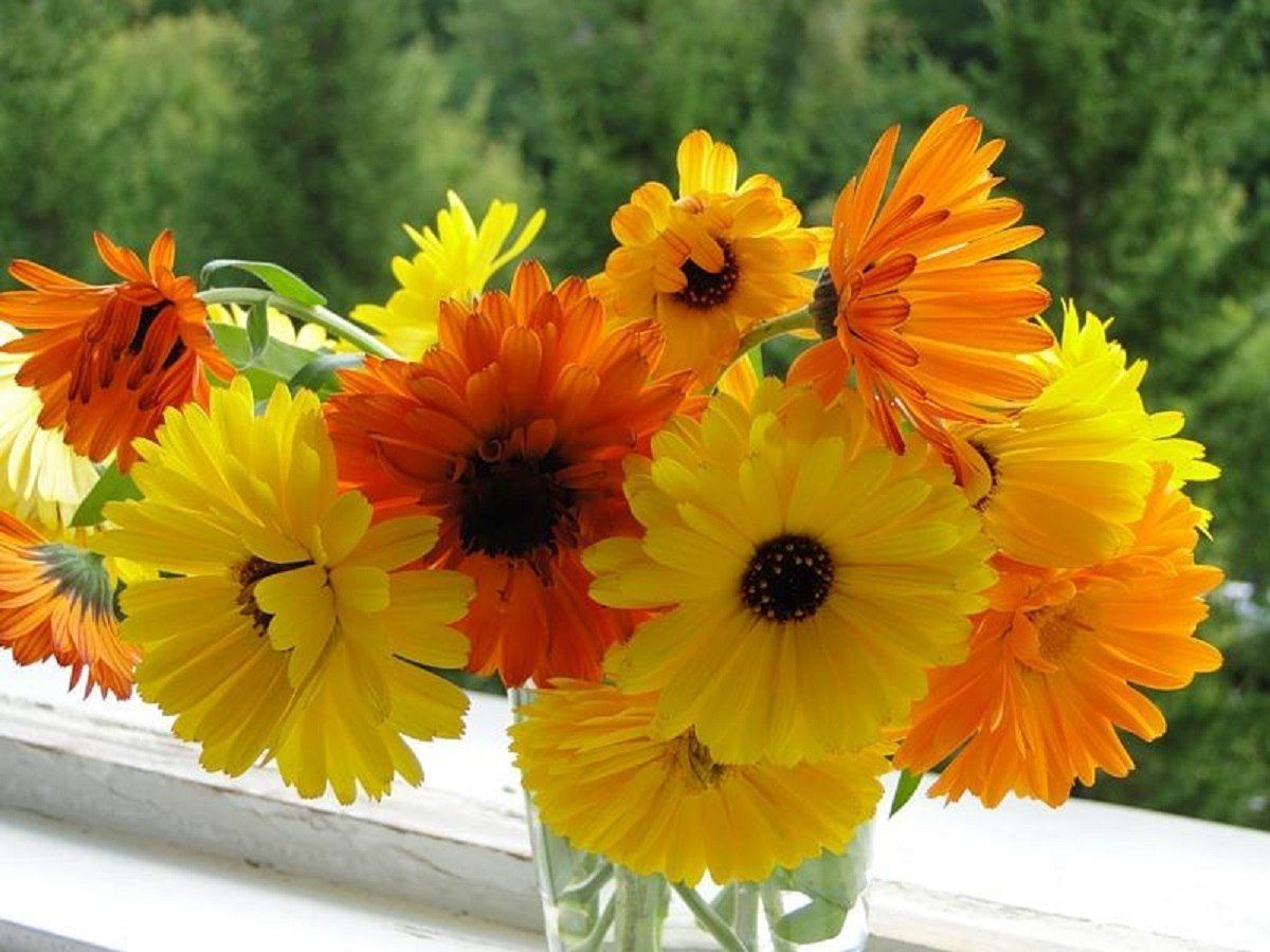 Солнцестояние Солнцеворот