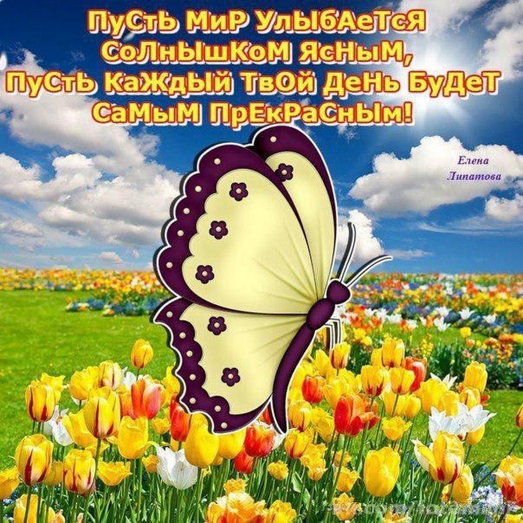 Солнечный день