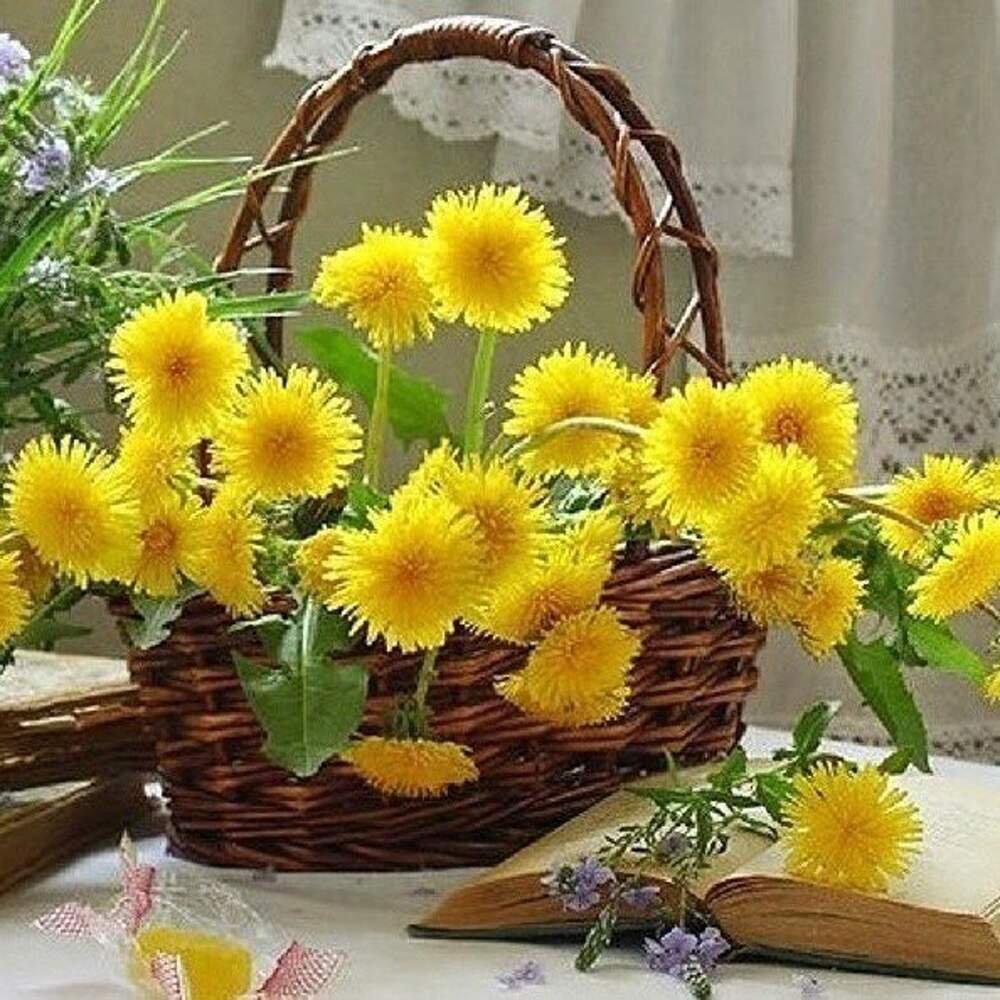 Летние цветы с бабочками