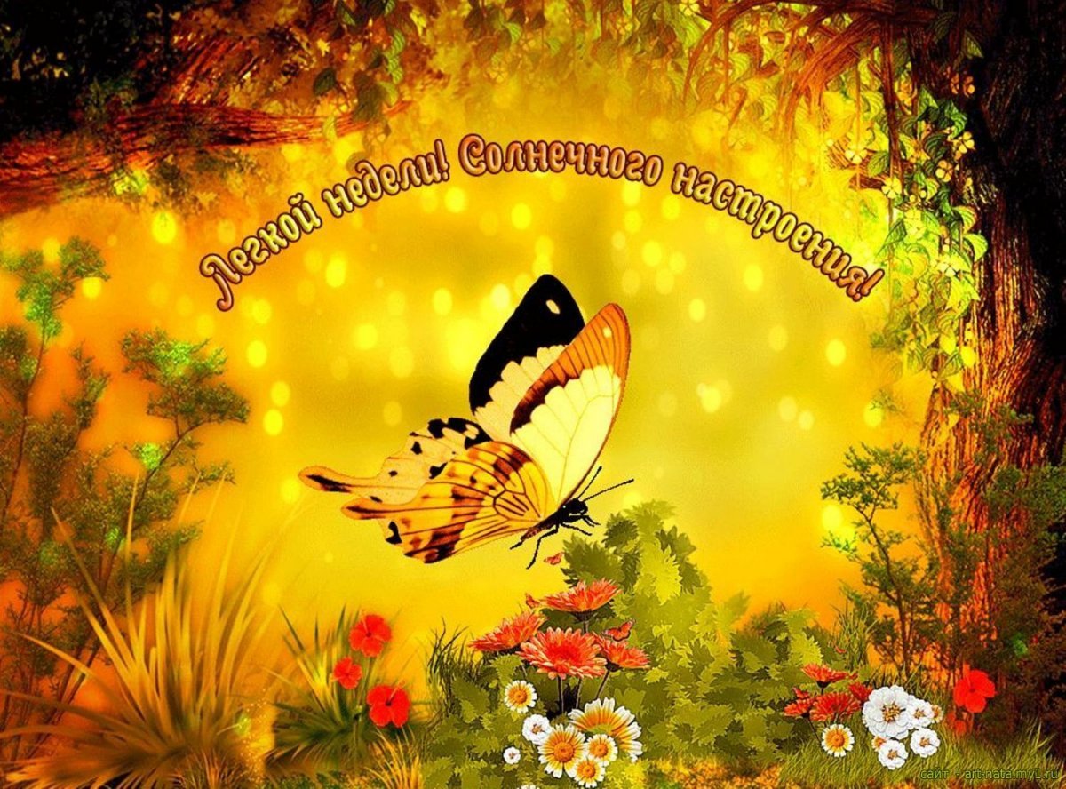 Солнечный букет