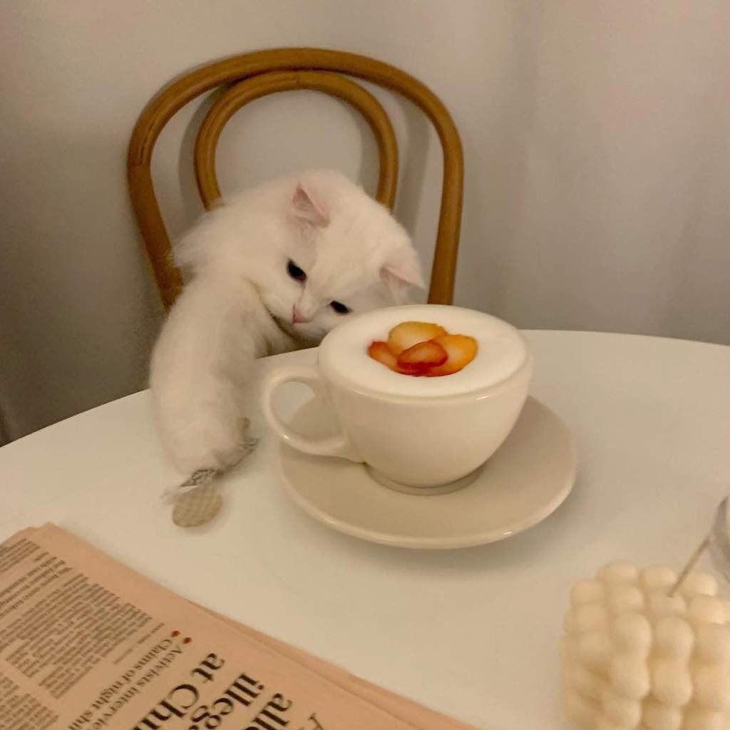 Смешные картинки с добрым утром