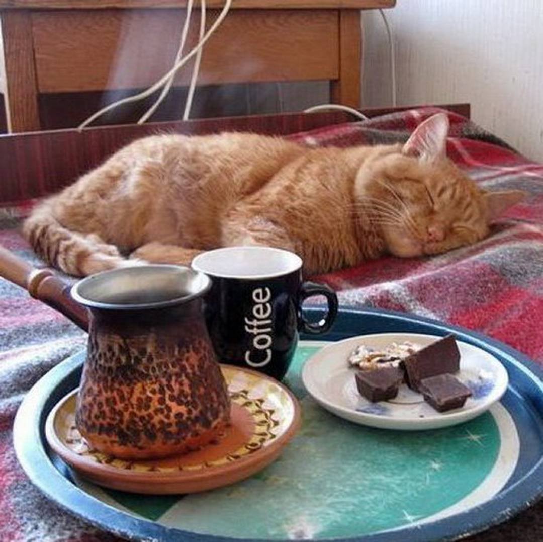 Всем добрейшего утра смешные