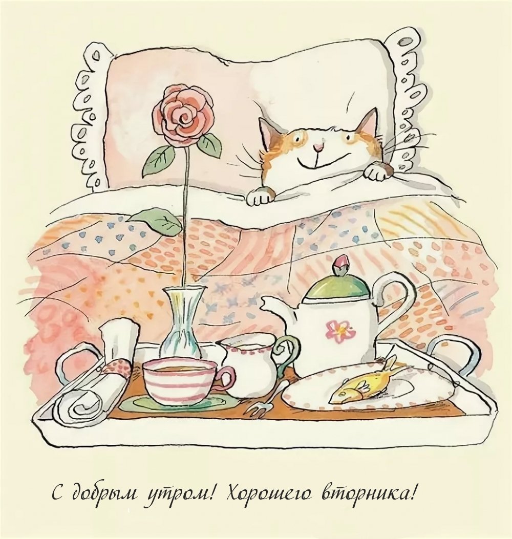 Кот поздравляет