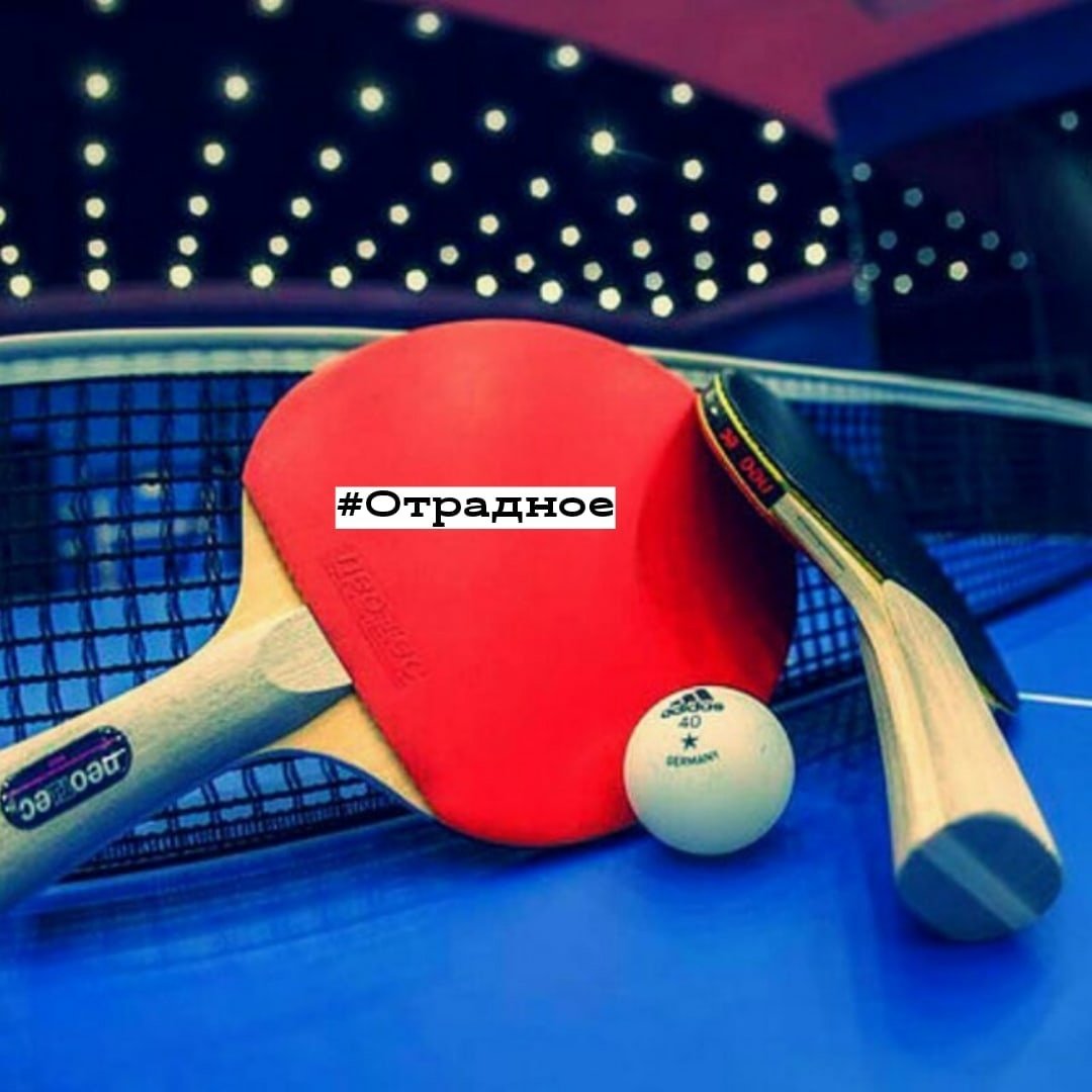 Настольный теннис