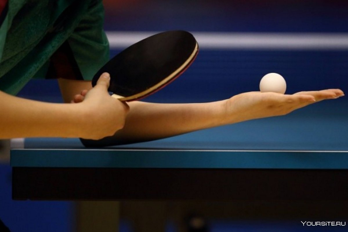 Настольный теннис