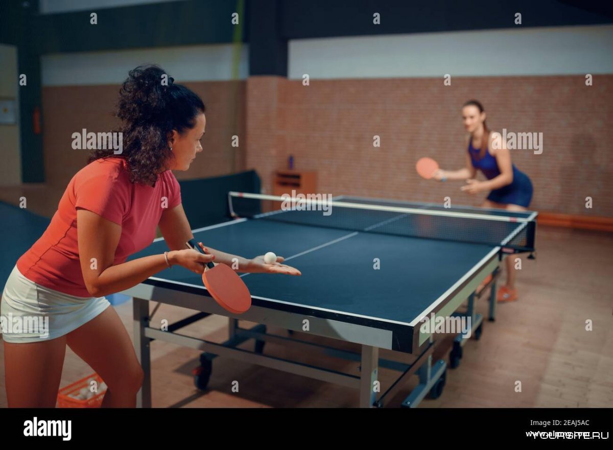 Настольный теннис