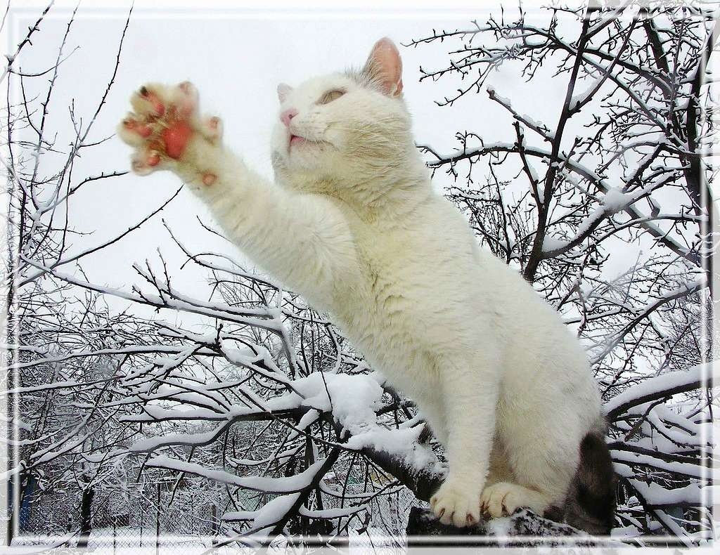 Шутки про зиму и весну