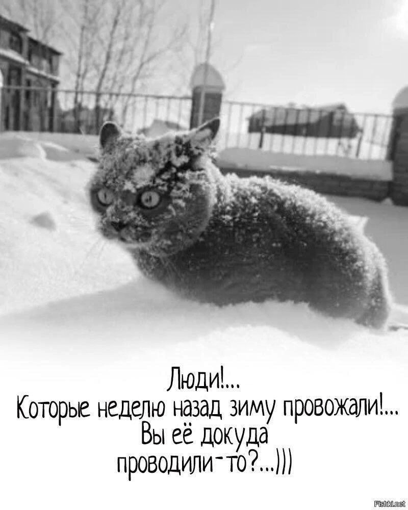 Пережили три месяца зимы