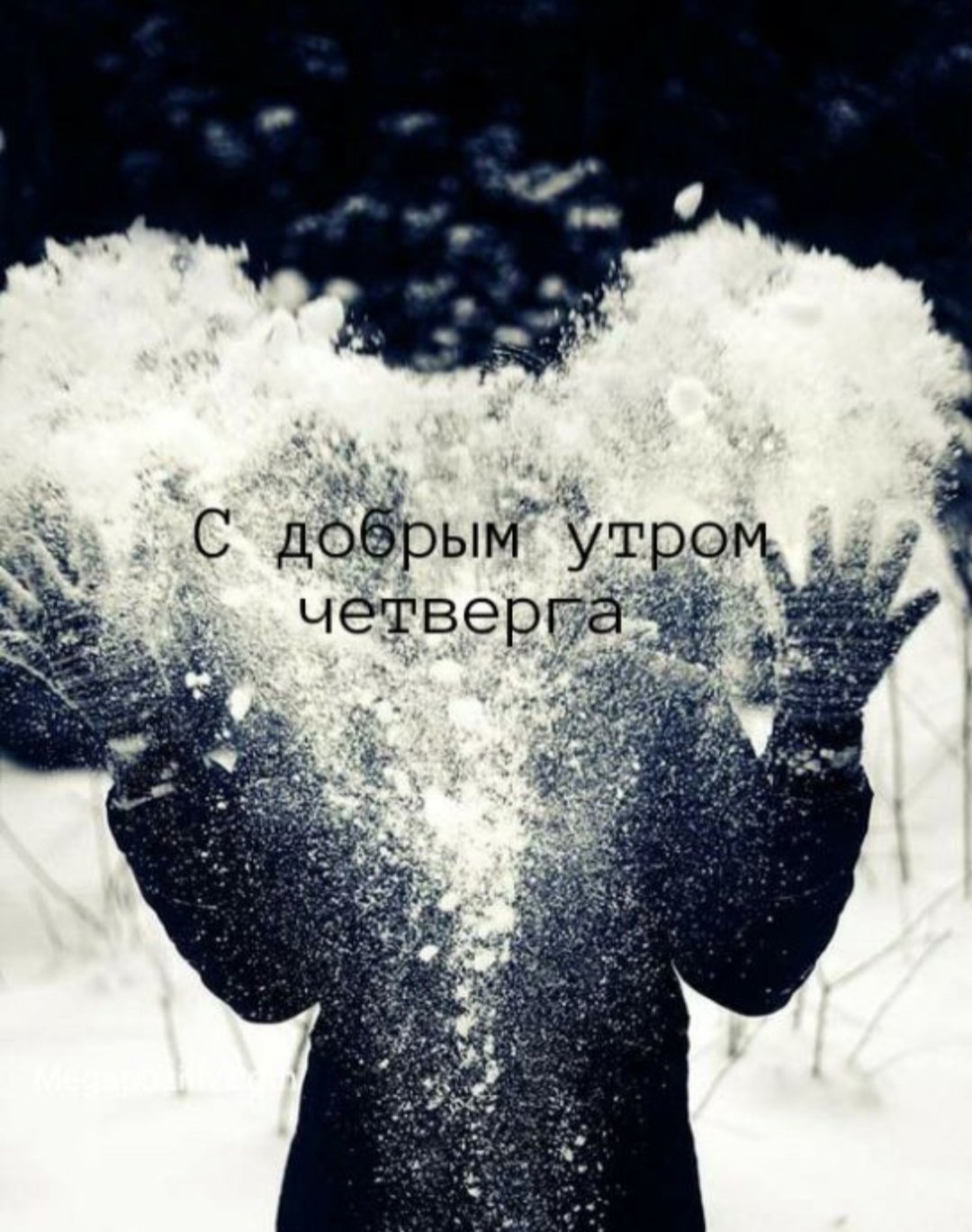 Снова зима картинки