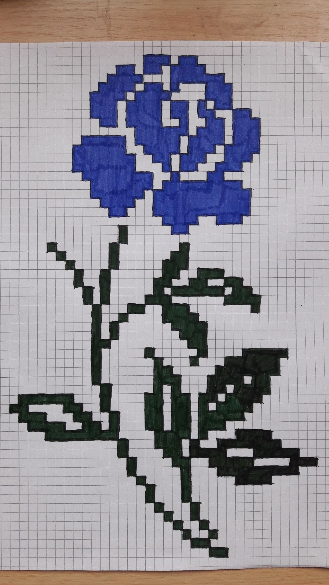 Рисунки по клеточкам цветы маленькие