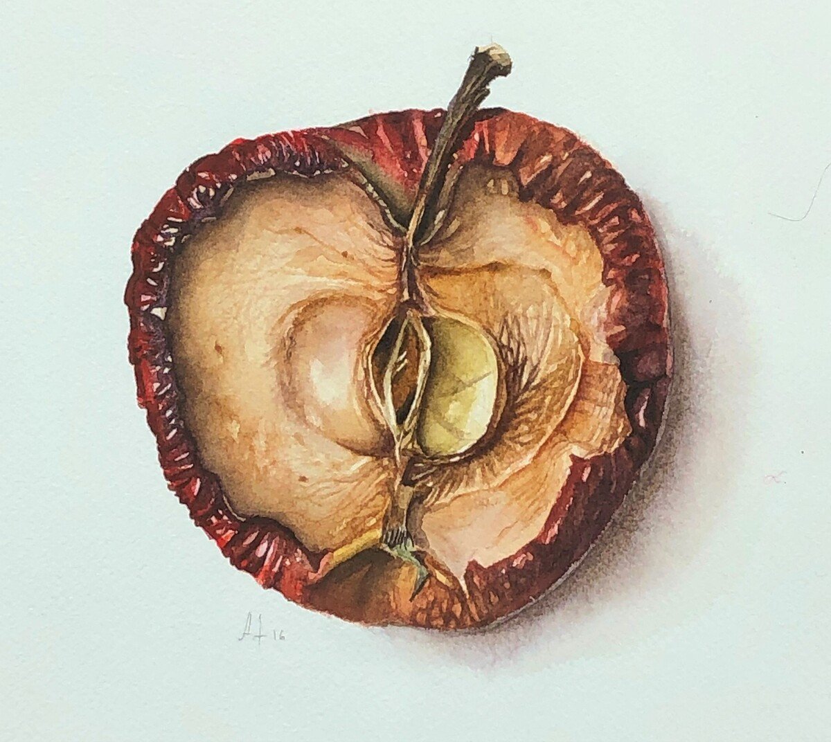 Яблоко половина акварель