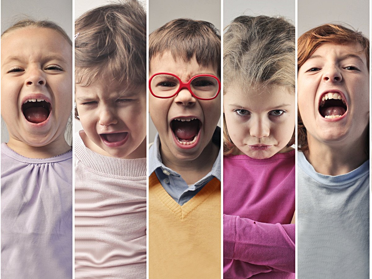 Типы личности флегматик сангвиник