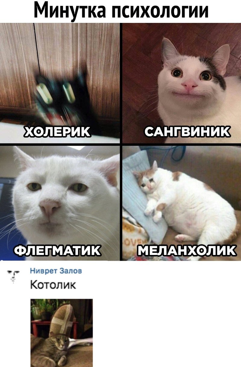 Круг личности Айзенка