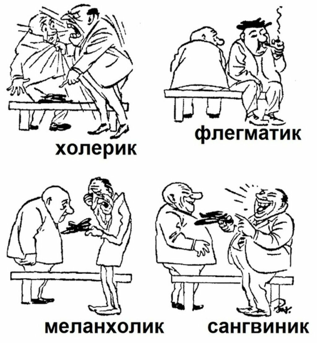 Темперамент векторный рисунок