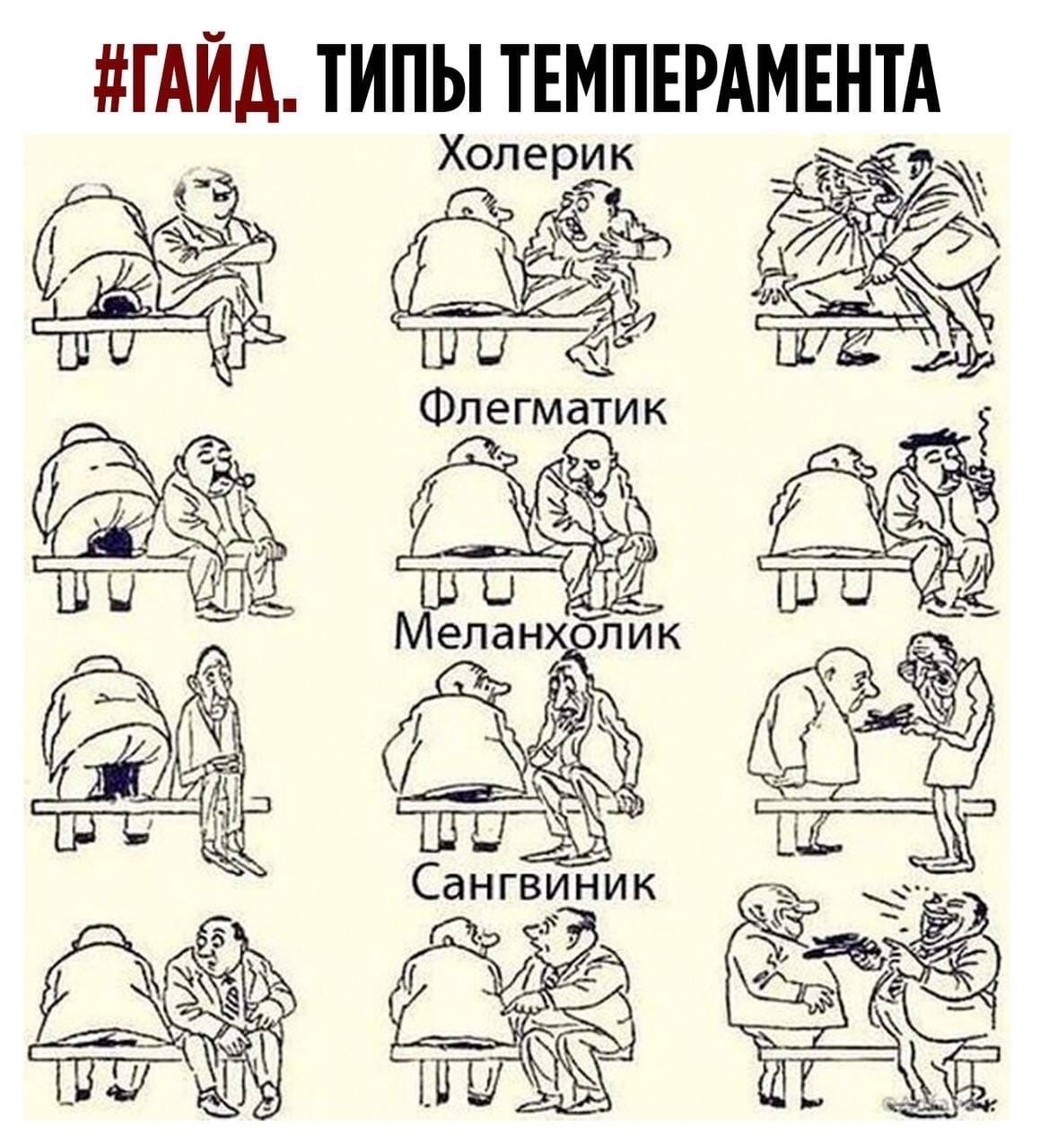 Типы личности меланхолик сангвиник