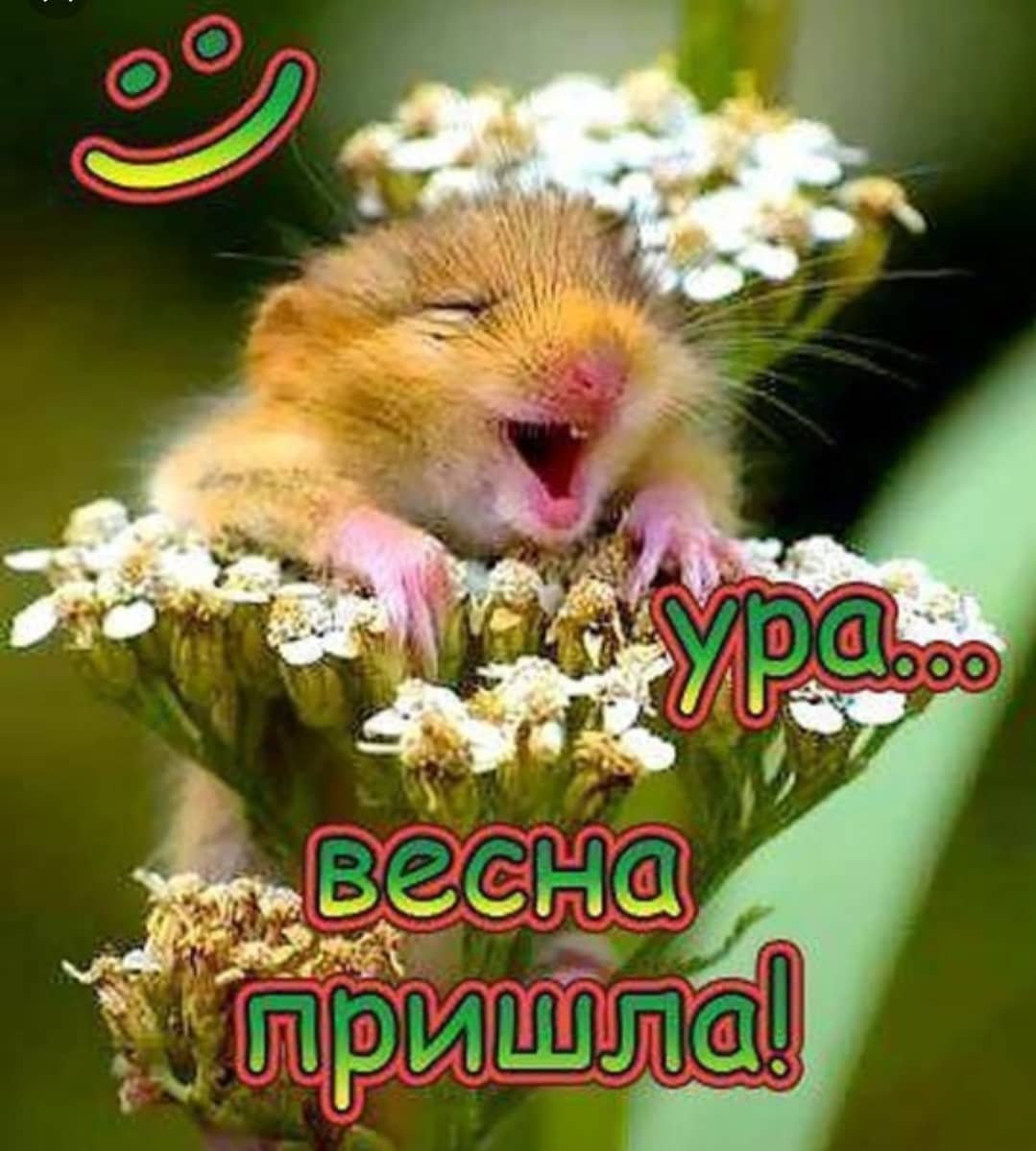 С первым днем весны стильные